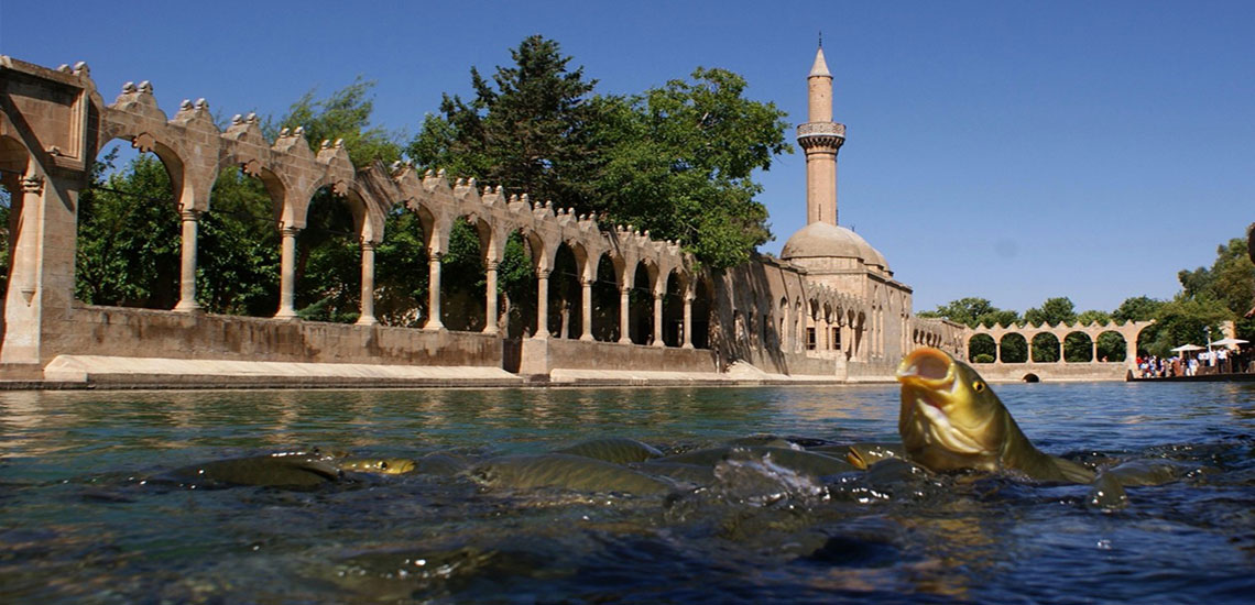 Şanlıurfa Turları